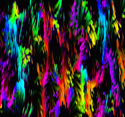 Particle HSL2 - Codesandbox